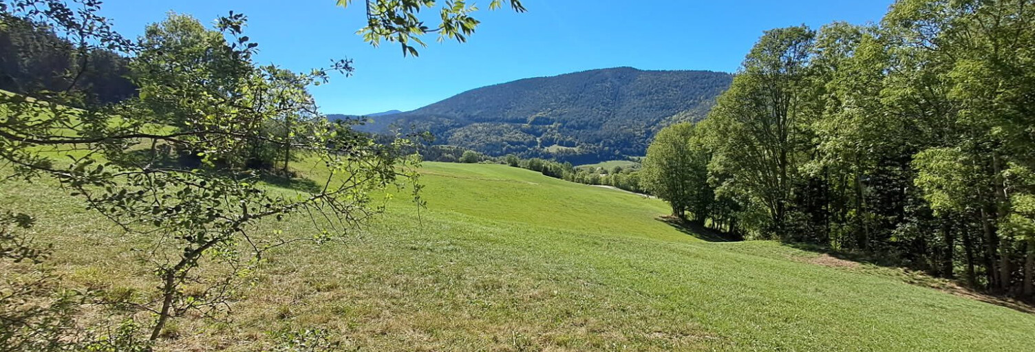 Terrain  1522 m² à vendre à Villard-de-Lans (38250)