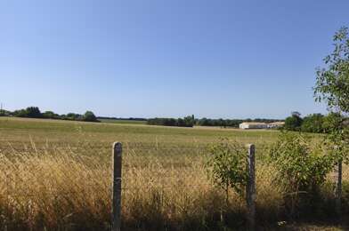 Terrain  50000 €