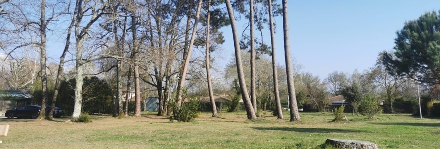 Terrain  1200 m² à vendre à Le Temple (33680)