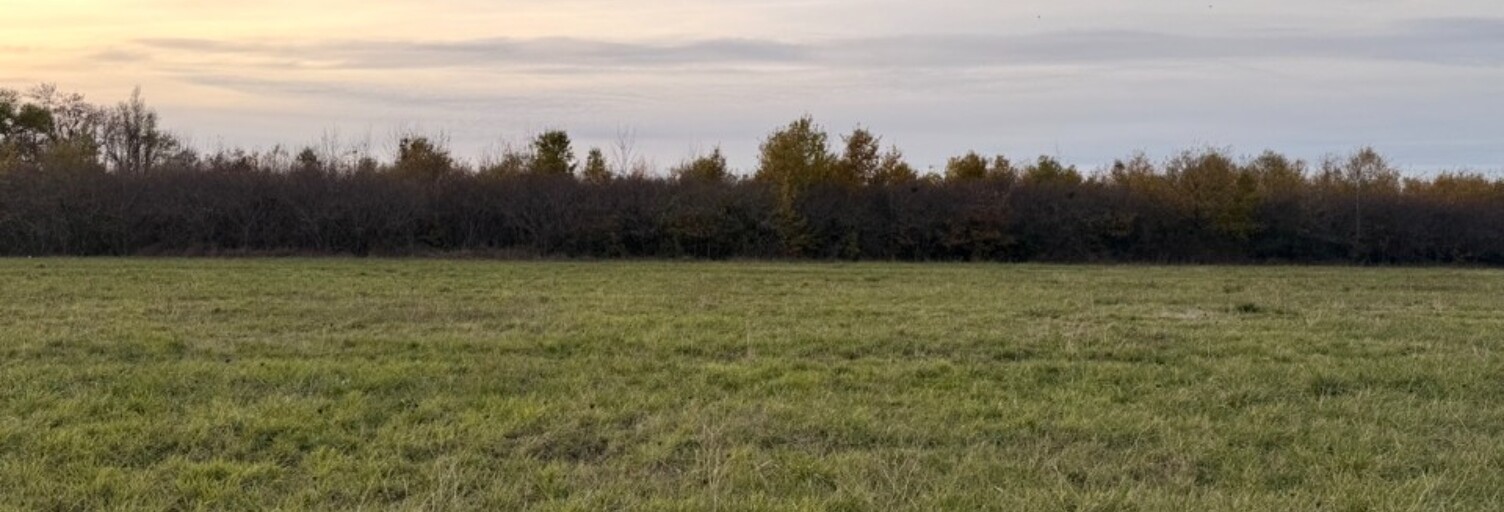 Terrain  950 m² à vendre à Saint-Laurent-des-Vignes (24100)