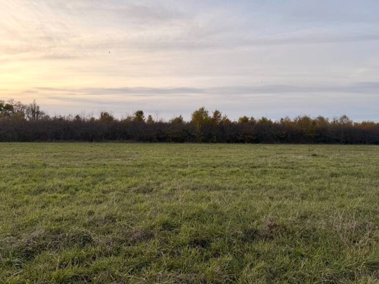 Terrain à bâtir à Saint-Laurent-des-Vignes (24100) — photo 1