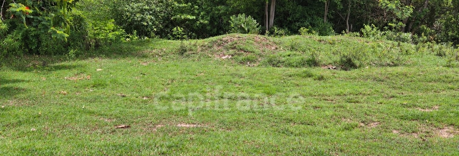 Terrain  500 m² à vendre à Le Gosier (97190)