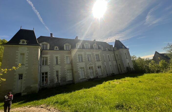 Propriété à vendre 17 pièces SAINT OUEN LES VIGNES (37) — photo 2