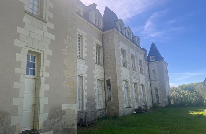 Propriété à vendre 17 pièces SAINT OUEN LES VIGNES (37) — photo 4
