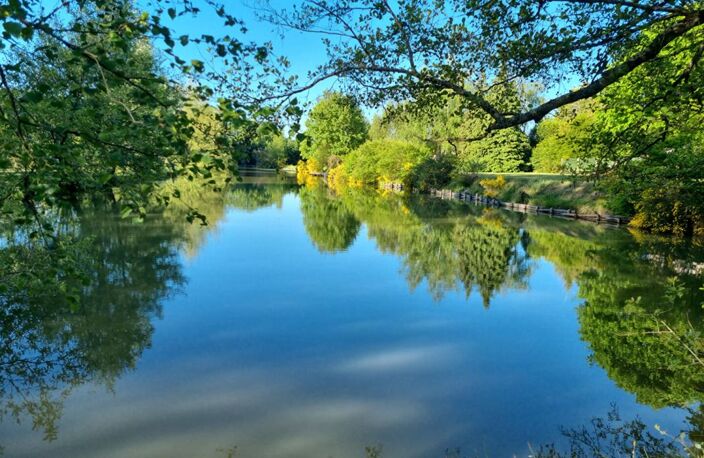 MAISON TRADITIONNELLE  et UN TRES BEL ETANG de plus de 4000m² — photo 2