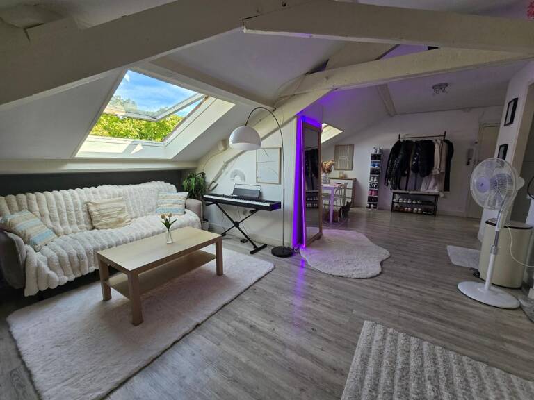 ✨ Coup de cœur ! Magnifique T2 mansardé & ultra lumineux ☀️ — photo 1