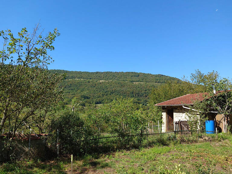 GRANGEON EN PIERRE AVEC TERRAIN DE 3 137 M² — photo 1