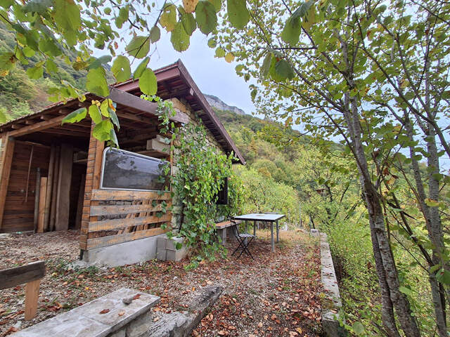 GRANGEON EN PIERRE AVEC TERRAIN DE 3 137 M² — photo du bien