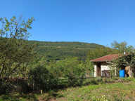 GRANGEON EN PIERRE AVEC TERRAIN DE 3 137 M² — photo 2
