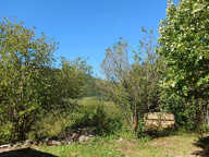 GRANGEON EN PIERRE AVEC TERRAIN DE 3 137 M² — photo 4