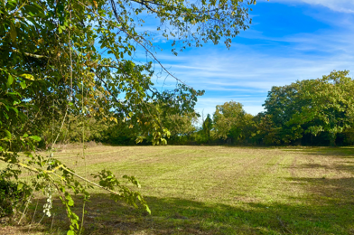 Terrain  69500 €