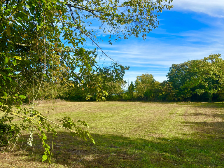 Terrain viabilisé et libre de constructeur proche de Périgny — photo 1