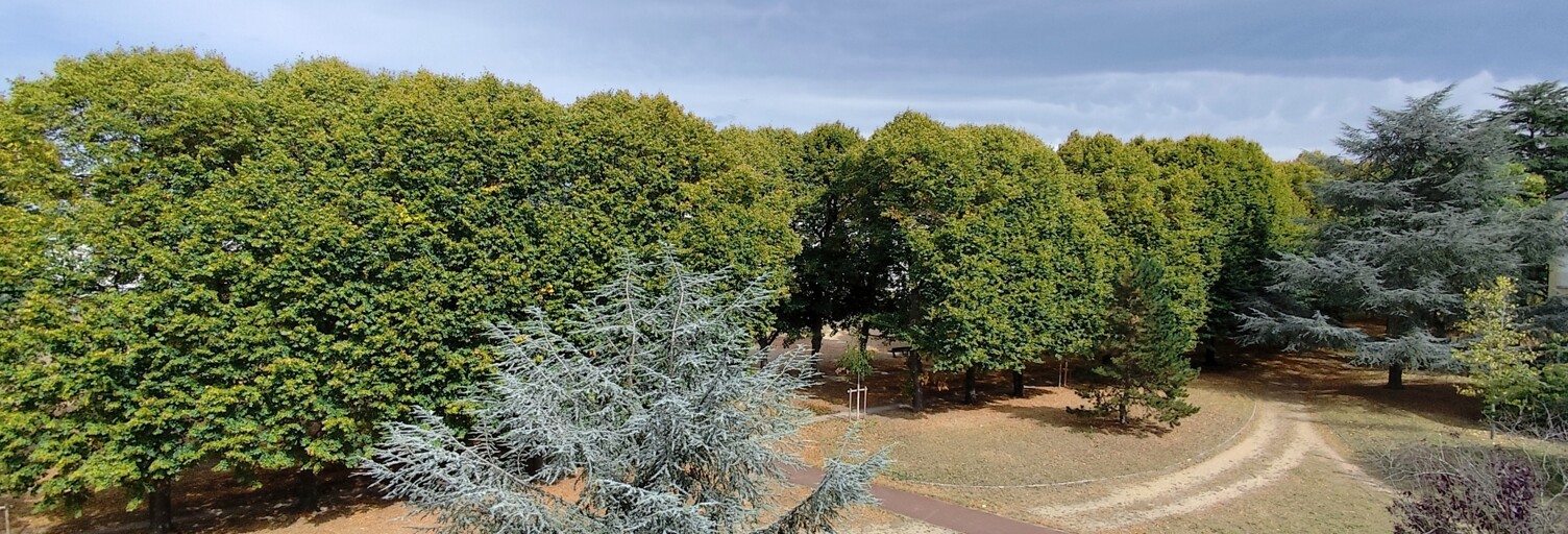 Appartement 4 Pièces 77 m² à vendre à Draveil (91210)