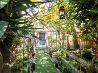 CIMIEZ - BRANCOLAR / MAISON INDIVIDUELLE — photo 3