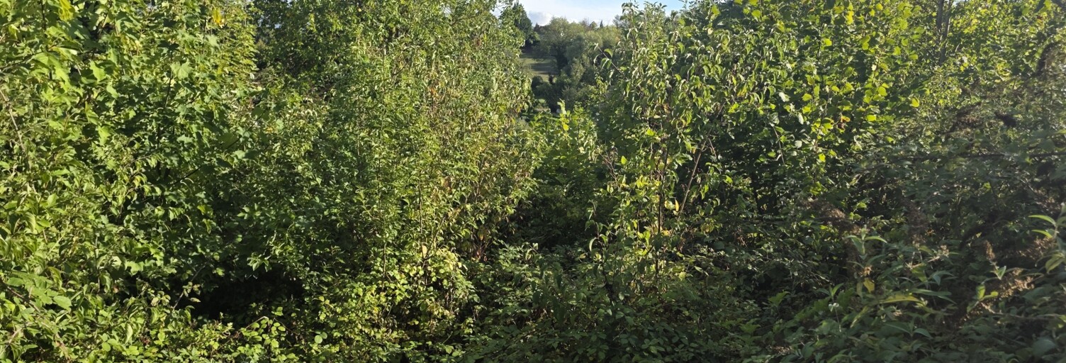 Terrain  900 m² à vendre à Seraincourt (95450)
