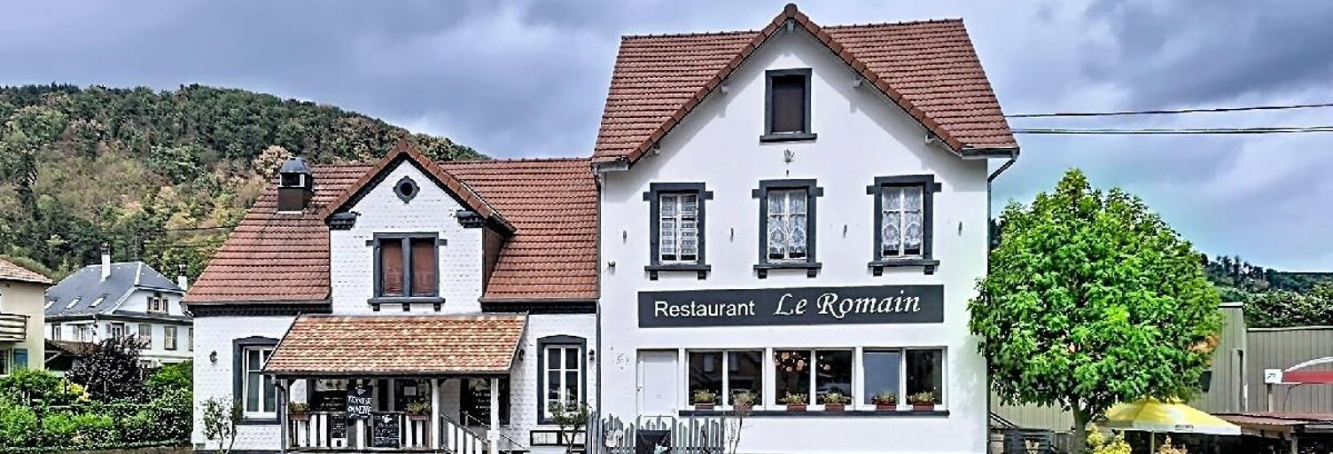 Divers 8 Pièces 352 m² à vendre à La Broque (67130)