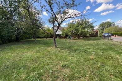 Terrain  29000 €