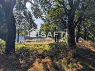 Sur le secteur de Plesidy , propriété avec dépendances et jardin arboré — photo 3