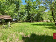 Terrain à bâtir avec ruines et CU. — photo 3
