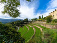 Cévennes méridionale Notre Dame de La Rouvière Val d'Aigoual — photo 3
