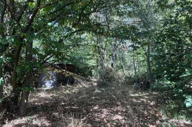 Terrain  116000 €