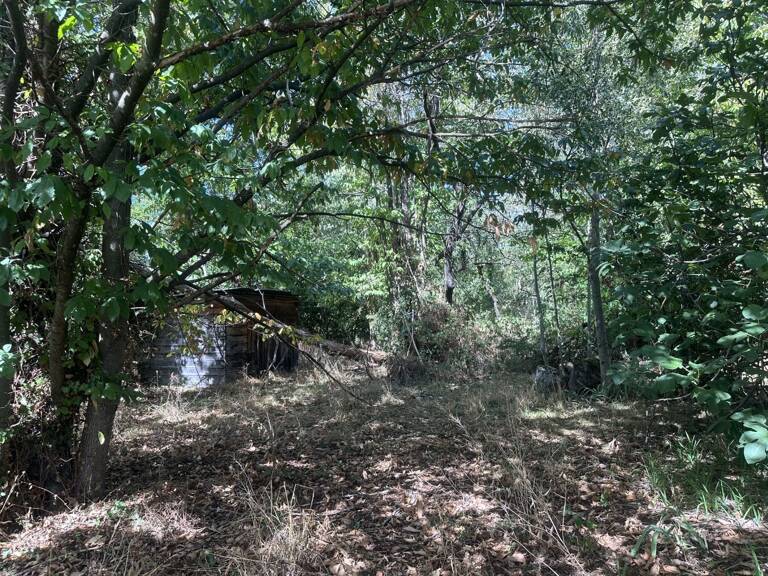 Terrain — photo 1
