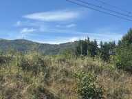 Terrain — photo 2