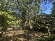 Terrain — photo 3
