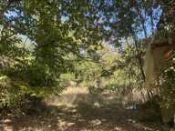 Terrain — photo 4