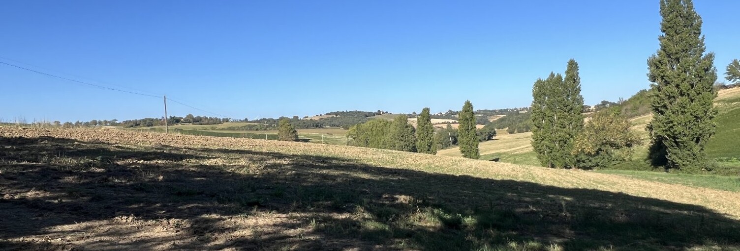 Terrain  4484 m² à vendre à Nailloux (31560)