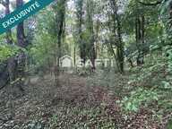 Terrain de loisir arboré à proximité de la Vienne — photo 2