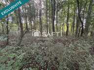 Terrain de loisir arboré à proximité de la Vienne — photo 3