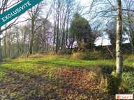 Grange sur plus de 1.2 hectare sans voisins — photo 2