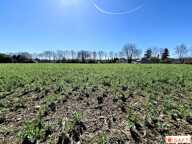 Terrain à bâtir de 8593m2 ou divisible en lots — photo 4