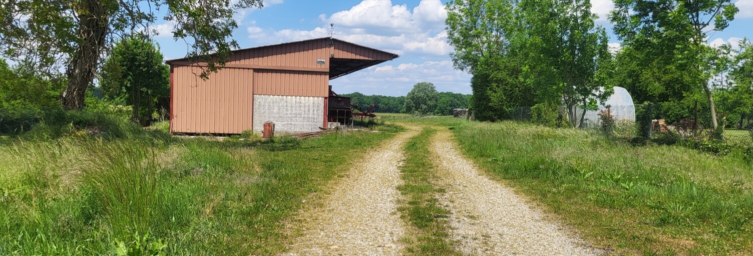 Photo N° 2