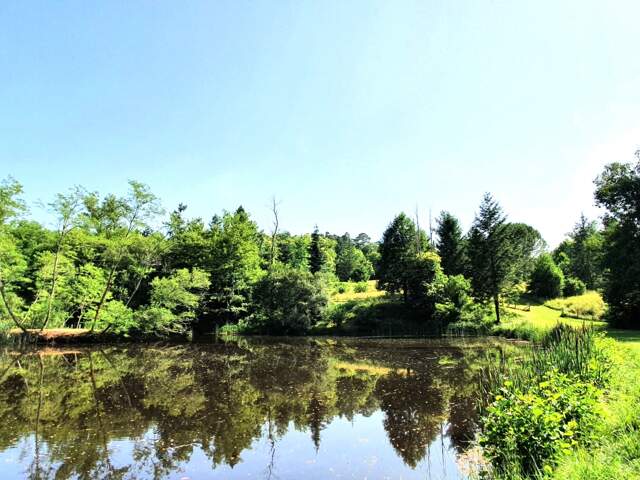 Vente Terrain 12 820 m&sup2; — photo du bien