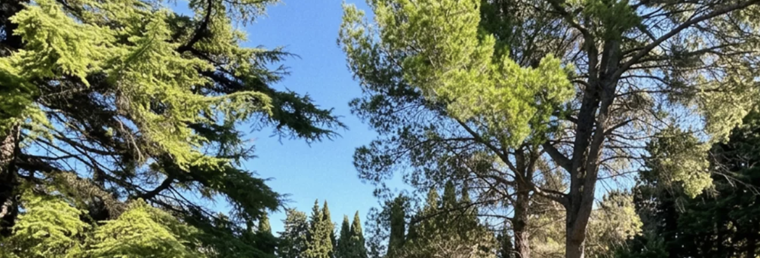 Terrain  513 m² à vendre à Avignon (84140)