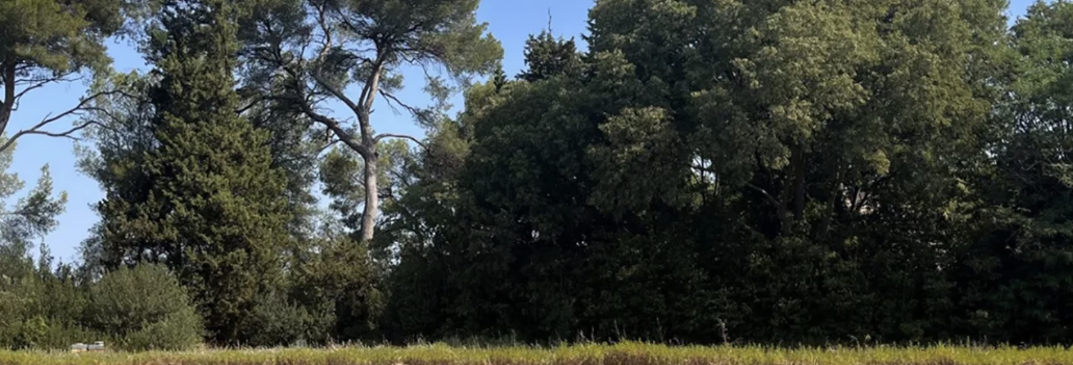 Terrain  221 m² à vendre à Carpentras (84200)