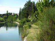 Maison L Isle Sur La Sorgue 5 pièce(s) 108 m2 — photo 2