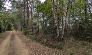 Terrain  2187 m² à vendre à Mézeray (72270)