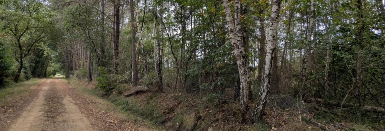 Terrain  2187 m² à vendre à Mézeray (72270)
