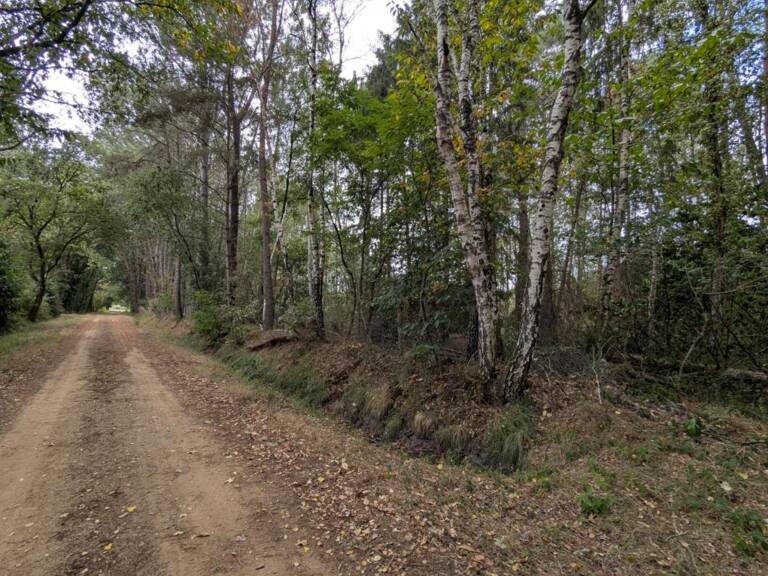Terrain à vendre de 2 187,00 m² MEZERAY (72) — photo 1