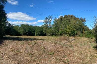 Terrain  295000 €