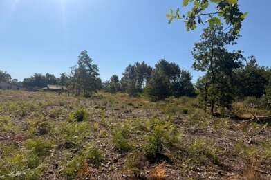 Terrain  101500 €
