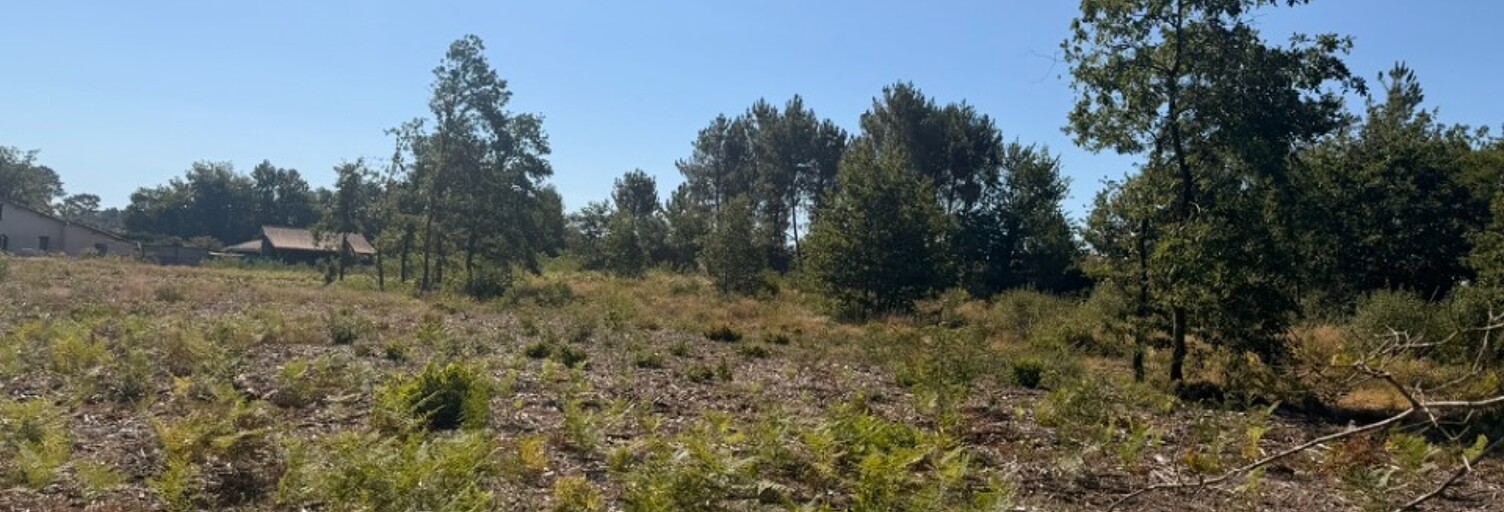 Terrain  530 m² à vendre à Créon (33670)