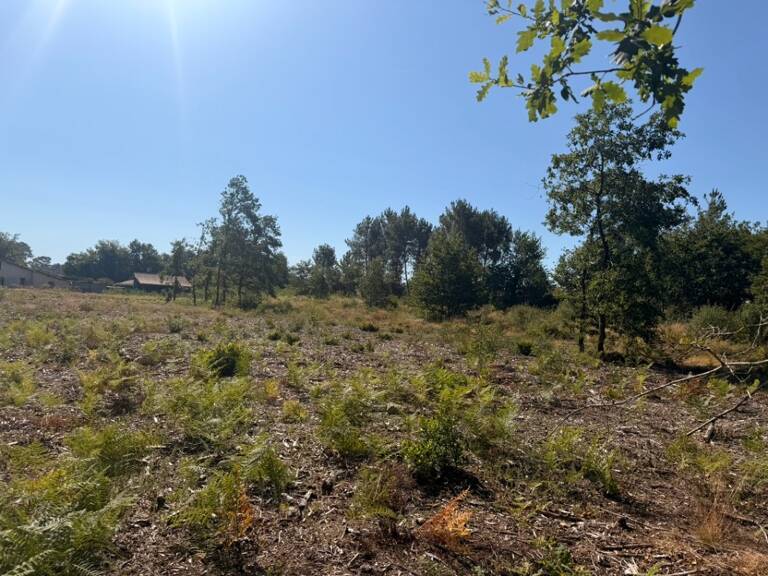 Terrain à bâtir à Salles (33770) — photo 1