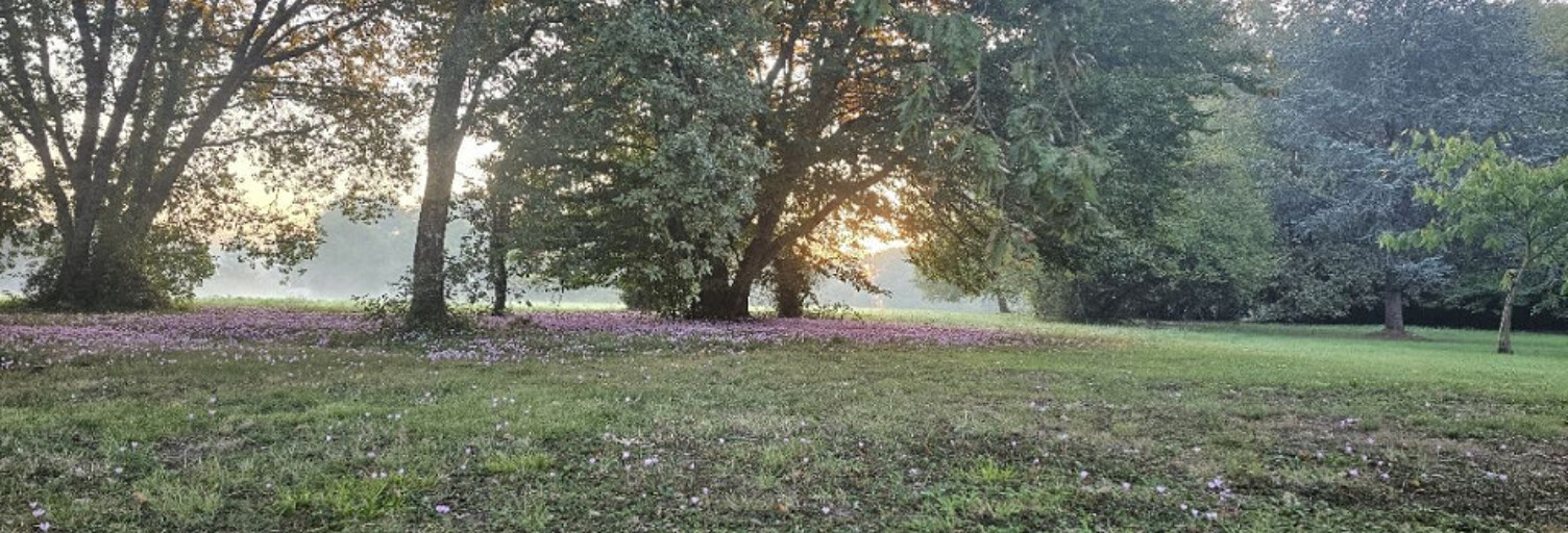 Terrain  800 m² à vendre à Carignan-de-Bordeaux (33360)