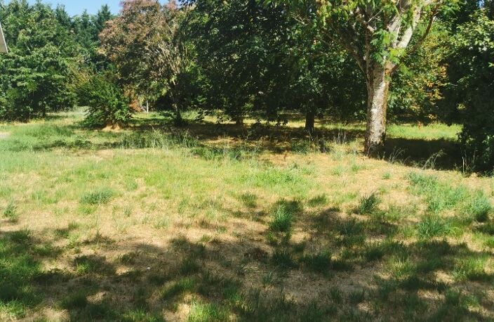 Maison à construire à Belin-Béliet (33830) — photo 5
