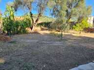 Maison de 55m2 à louer sur Vallauris — photo 3