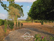 Maison de 190m² avec 2 logements indépendants - 4 chambres - terrain 1 220m² - vue Revermont — photo 2